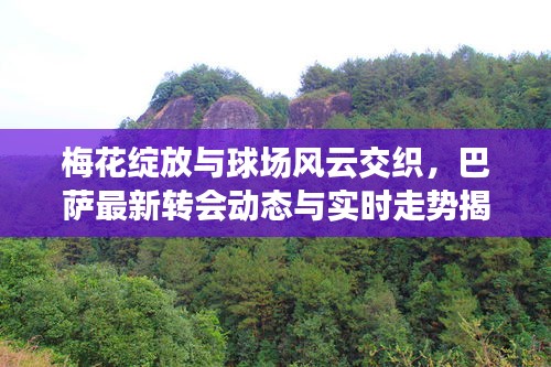 梅花绽放与球场风云交织,巴萨最新转会动态与实时走势揭秘