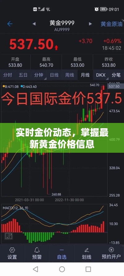 实时金价动态,掌握最新黄金价格信息