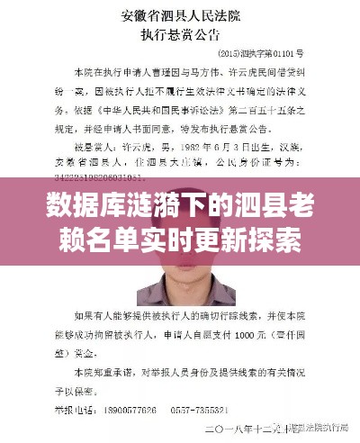数据库涟漪下的泗县老赖名单实时更新探索