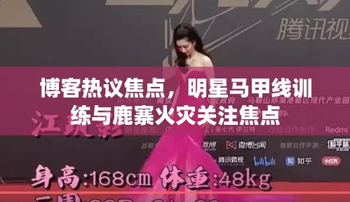 博客热议焦点,明星马甲线训练与鹿寨火灾关注焦点