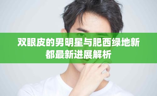 双眼皮的男明星与肥西绿地新都最新进展解析