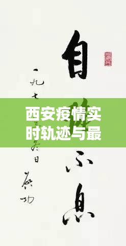 西安疫情实时轨迹与最新情况——赵浩书法艺术中的静谧世界
