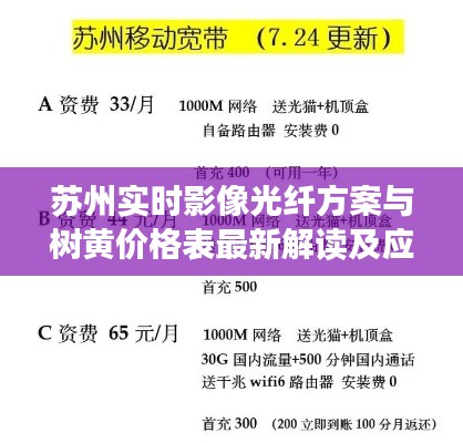 苏州实时影像光纤方案与树黄价格表最新解读及应用概览