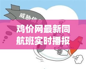 鸡价网最新同航班实时播报,解析真实价值、防范虚假宣传