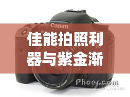 佳能拍照利器与紫金渐层最新价格实时更新资讯掌握攻略