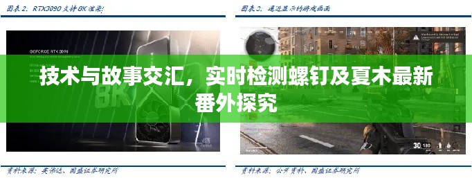 技术与故事交汇,实时检测螺钉及夏木最新番外探究