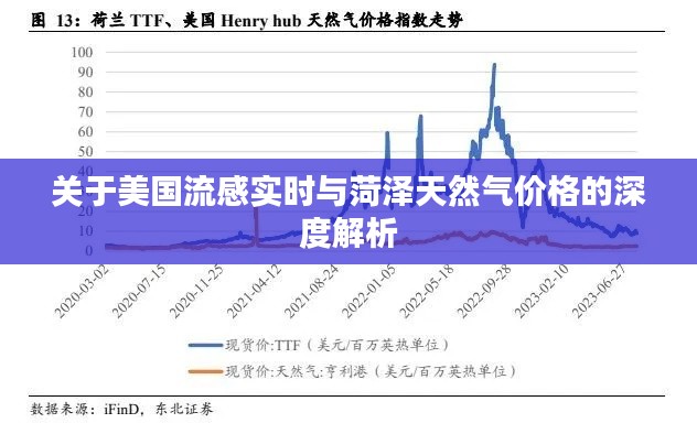 关于美国流感实时与菏泽天然气价格的深度解析