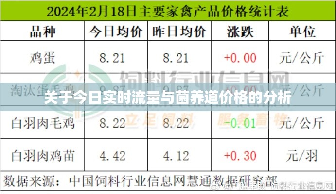 关于今日实时流量与菌养道价格的分析