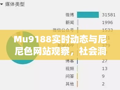 Mu9188实时动态与尼尼色网站观察,社会洞察与反思