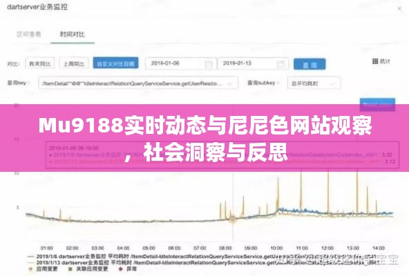 Mu9188实时动态与尼尼色网站观察,社会洞察与反思