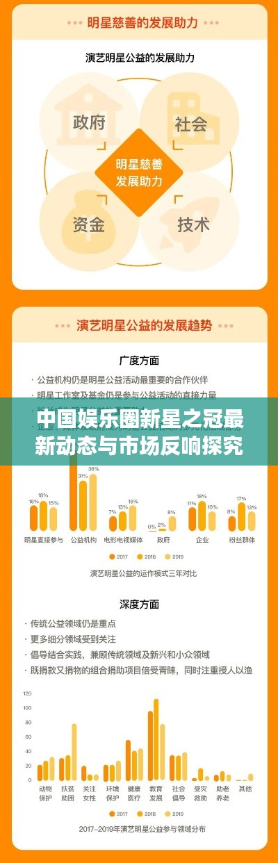 中国娱乐圈新星之冠最新动态与市场反响探究