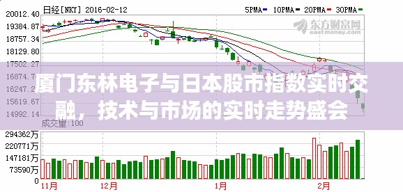 厦门东林电子与日本股市指数实时交融,技术与市场的实时走势盛会