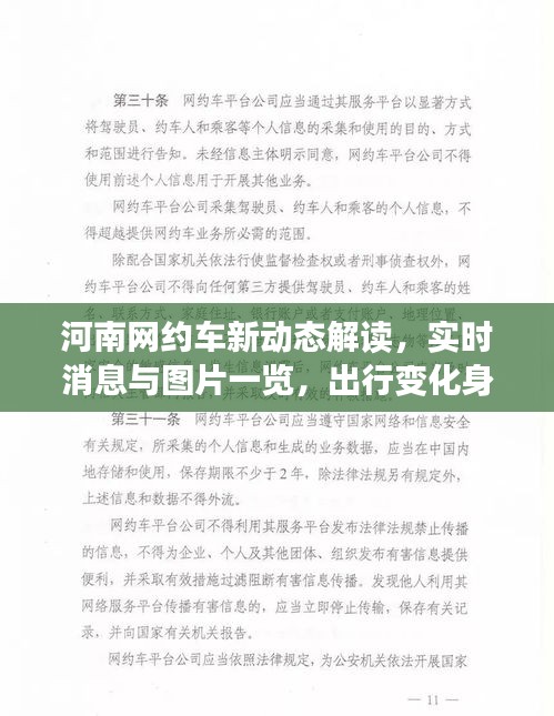 河南网约车新动态解读,实时消息与图片一览,出行变化身边知