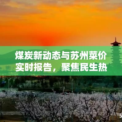 煤炭新动态与苏州菜价实时报告，聚焦民生热议话题