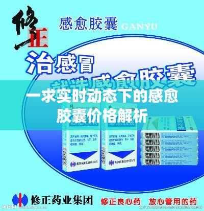一求实时动态下的感愈胶囊价格解析