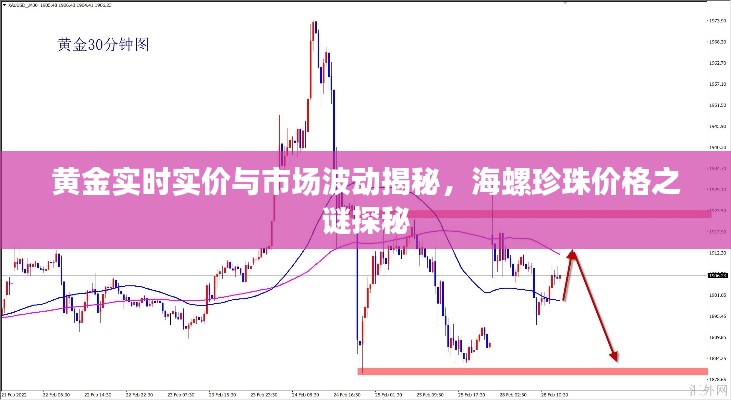 黄金实时实价与市场波动揭秘，海螺珍珠价格之谜探秘