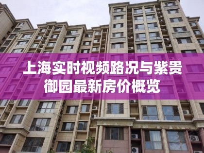 上海实时视频路况与紫贵御园最新房价概览