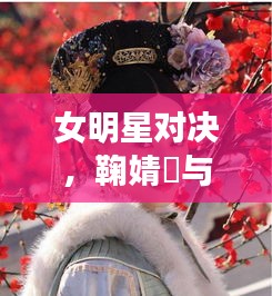 女明星对决,鞠婧祎与孙俪的最新动态揭秘