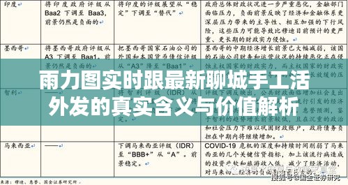 雨力图实时跟最新聊城手工活外发的真实含义与价值解析