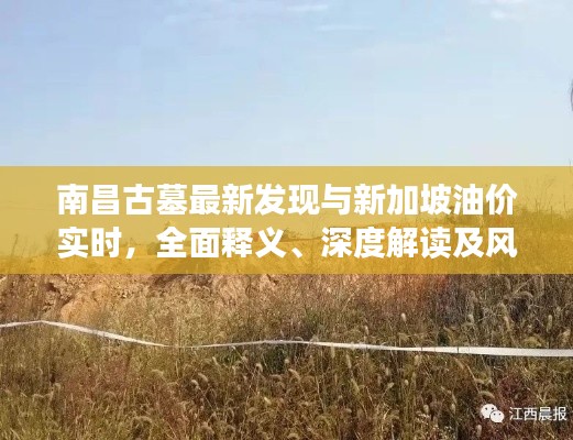 南昌古墓最新发现与新加坡油价实时,全面释义、深度解读及风险预警