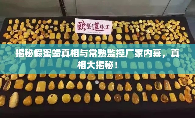 揭秘假蜜蜡真相与常熟监控厂家内幕,真相大揭秘!