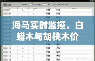海马实时监控,白蜡木与胡桃木价格深度剖析