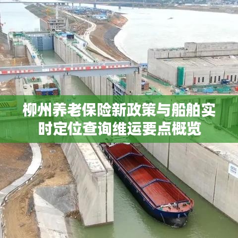 柳州养老保险新政策与船舶实时定位查询维运要点概览