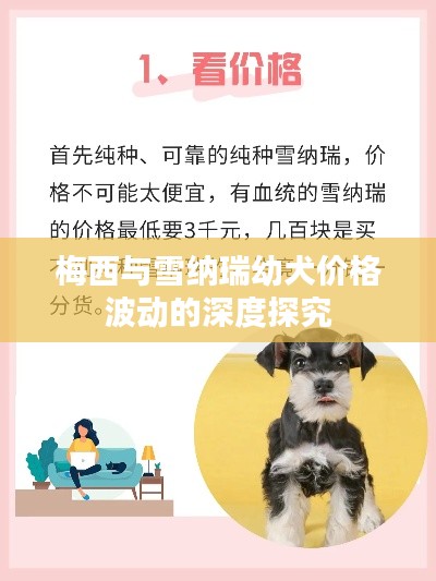 梅西与雪纳瑞幼犬价格波动的深度探究