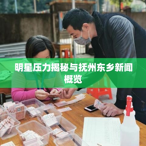 明星压力揭秘与抚州东乡新闻概览