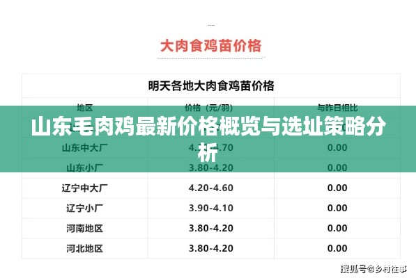 山东毛肉鸡最新价格概览与选址策略分析
