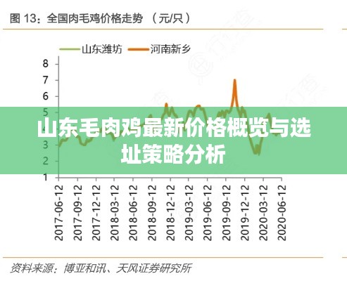 山东毛肉鸡最新价格概览与选址策略分析