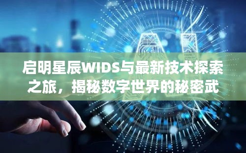 启明星辰WIDS与最新技术探索之旅,揭秘数字世界的秘密武器