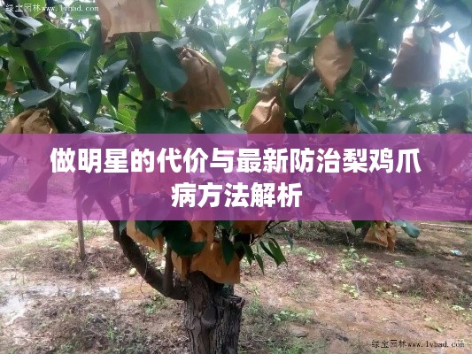 做明星的代价与最新防治梨鸡爪病方法解析