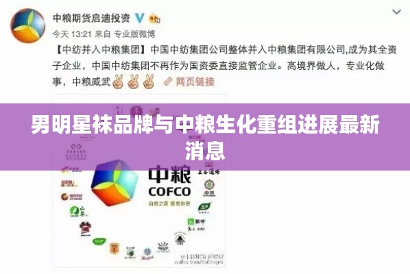 笨鸟先飞 第2页