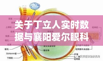 关于丁立人实时数据与襄阳爱尔眼科近视手术价格的深度剖析
