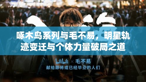 啄木鸟系列与毛不易,明星轨迹变迁与个体力量破局之道
