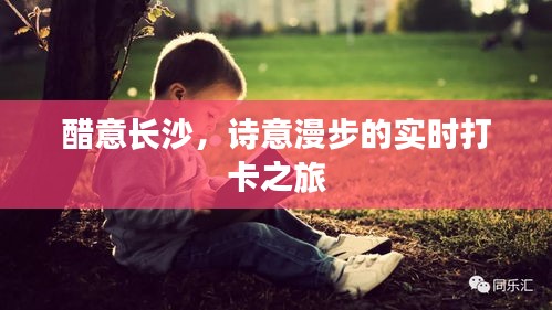 醋意长沙,诗意漫步的实时打卡之旅