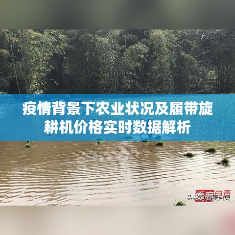 疫情背景下农业状况及履带旋耕机价格实时数据解析
