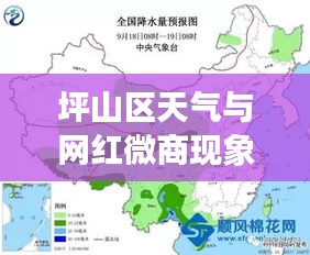 坪山区天气与网红微商现象深度探析