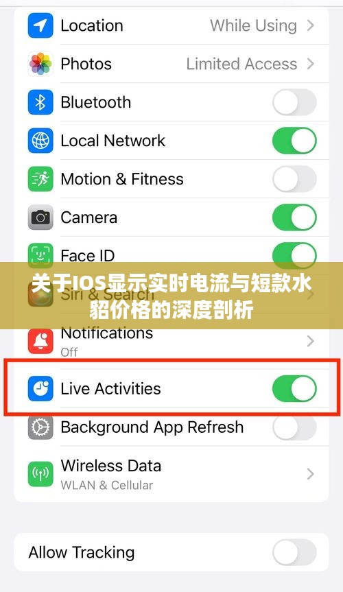 关于IOS显示实时电流与短款水貂价格的深度剖析