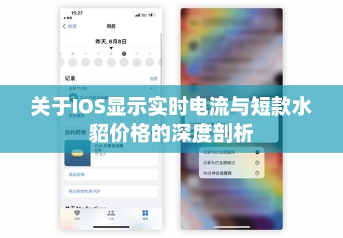关于IOS显示实时电流与短款水貂价格的深度剖析