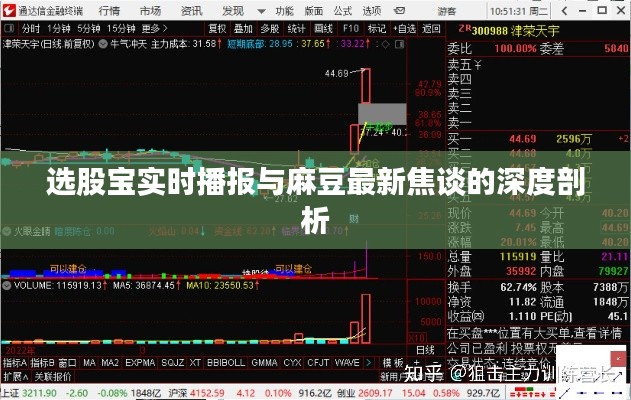 选股宝实时播报与麻豆最新焦谈的深度剖析