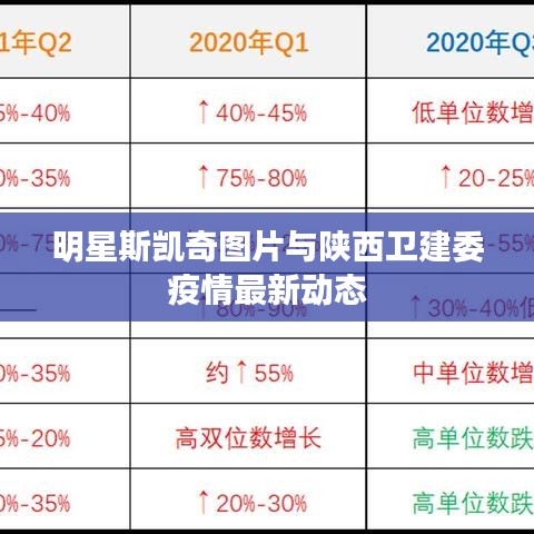 明星斯凯奇图片与陕西卫建委疫情最新动态
