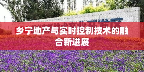 乡宁地产与实时控制技术的融合新进展