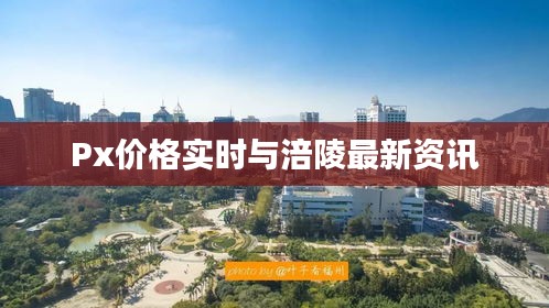 Px价格实时与涪陵最新资讯