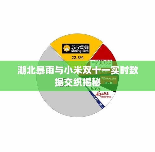 湖北暴雨与小米双十一实时数据交织揭秘