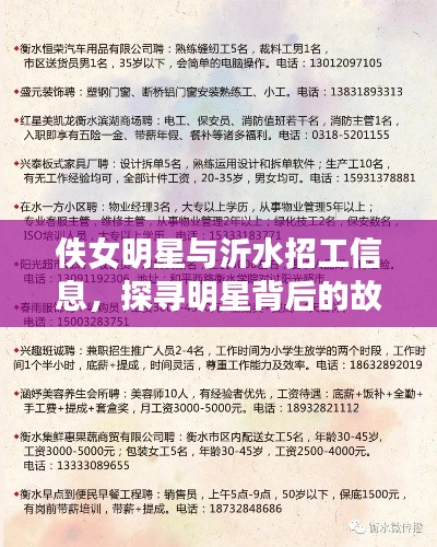 佚女明星与沂水招工信息,探寻明星背后的故事,关注就业新动态