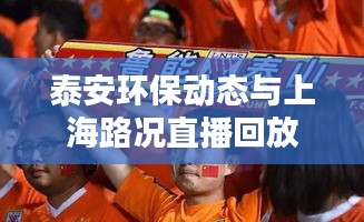 泰安环保动态与上海路况直播回放