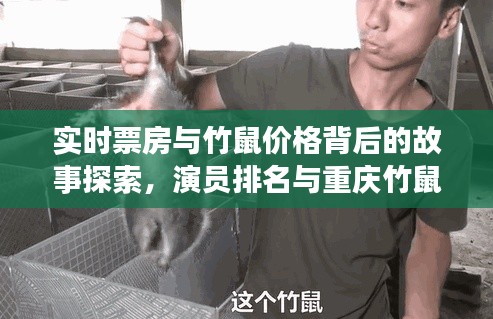 实时票房与竹鼠价格背后的故事探索,演员排名与重庆竹鼠市场揭秘