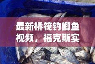 最新桥筏钓鲫鱼视频,福克斯实时投票揭秘钓鱼技巧的艺术